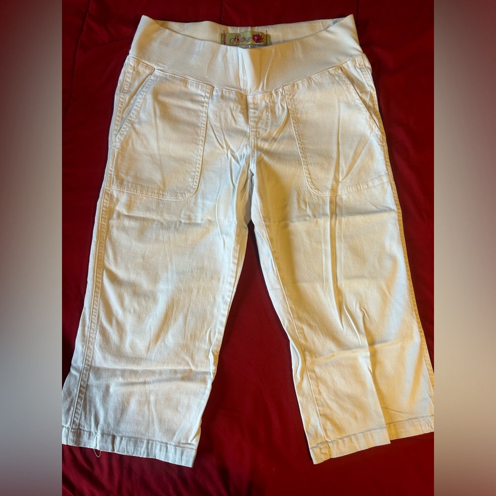 Moe Maternity Pants